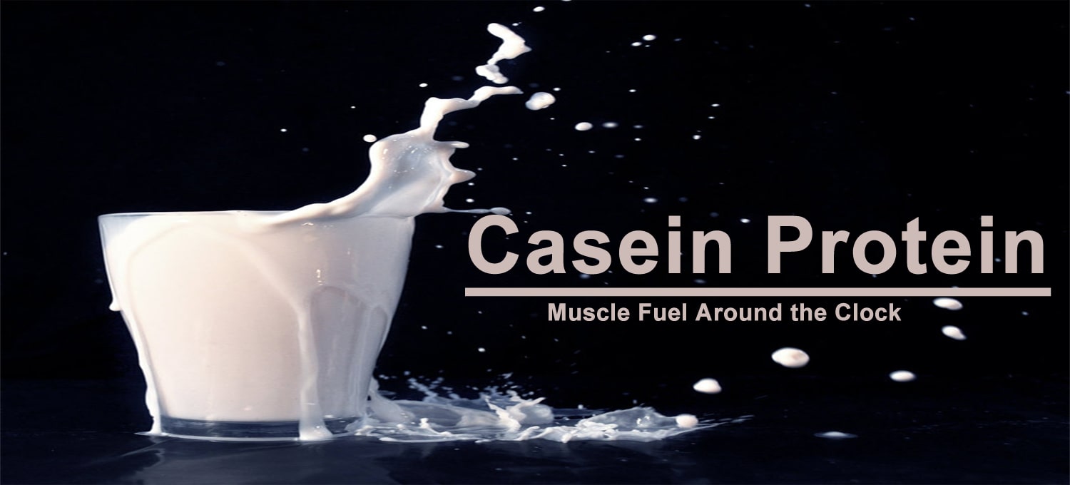 Casein Protein min - پروتئین کازئین