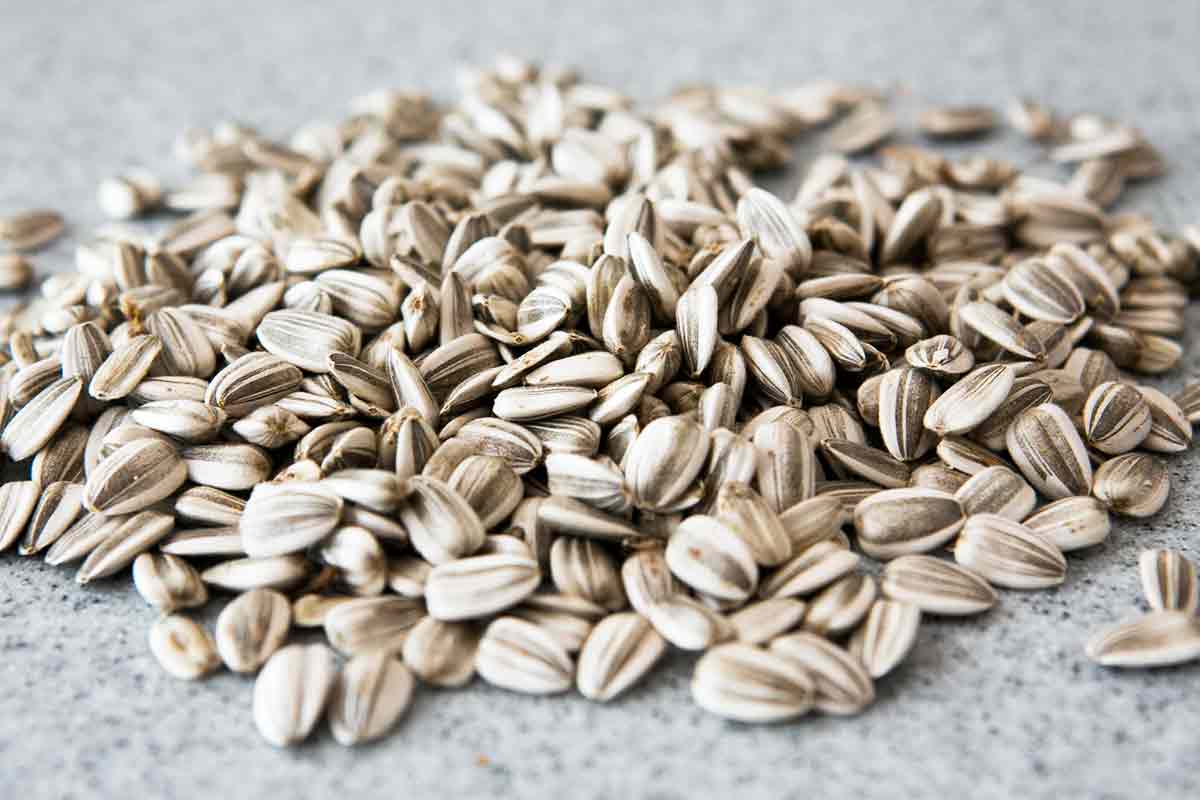 roasted sunflower seeds method 1 1 min - تخمه آفتابگردان خواص و جدول ارزش غذایی
